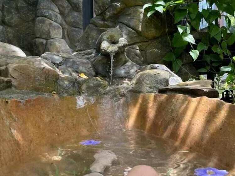 Отель Cerro Tusa Springs