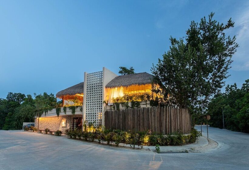 בית מלון כפרי Faisano Nomadas