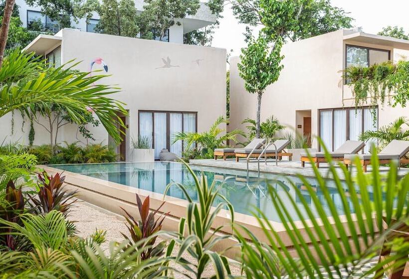 בית מלון כפרי Faisano Nomadas