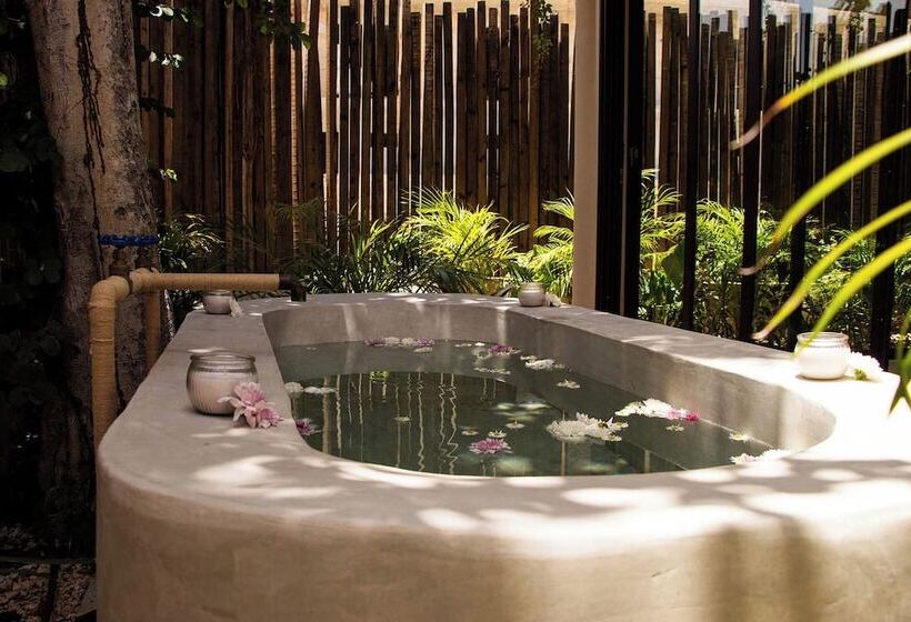 בית מלון כפרי Faisano Nomadas