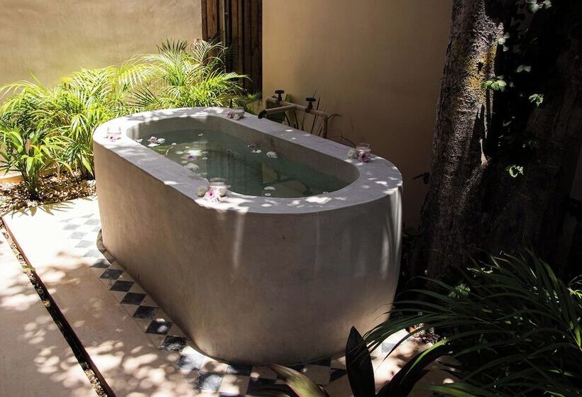 בית מלון כפרי Faisano Nomadas