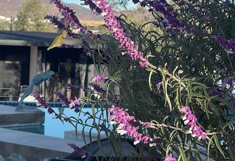 בית מלון כפרי Finca Cazosa