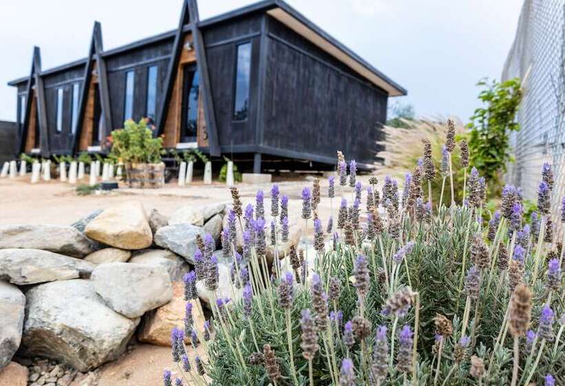 בית מלון כפרי Finca Cazosa