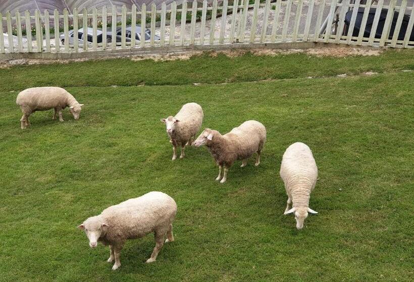 فندق Golden Lodge