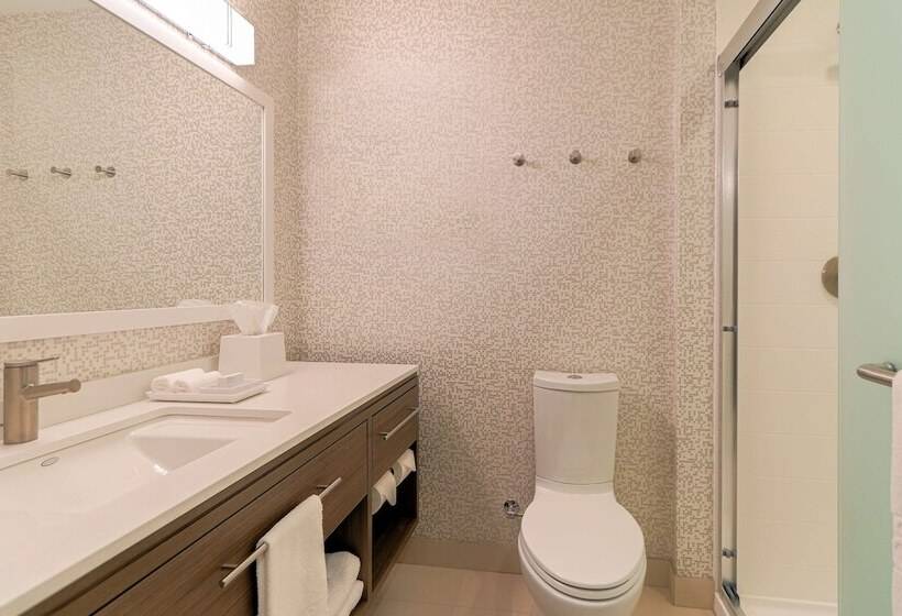 Отель Home2 Suites By Hilton Alcoa Knoxville Airport