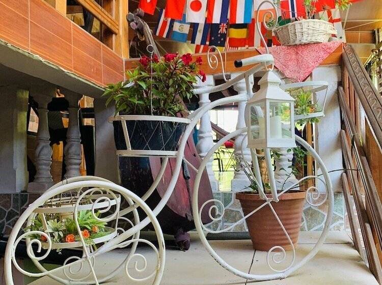 Отель Hostal Raices De Mi Pueblo