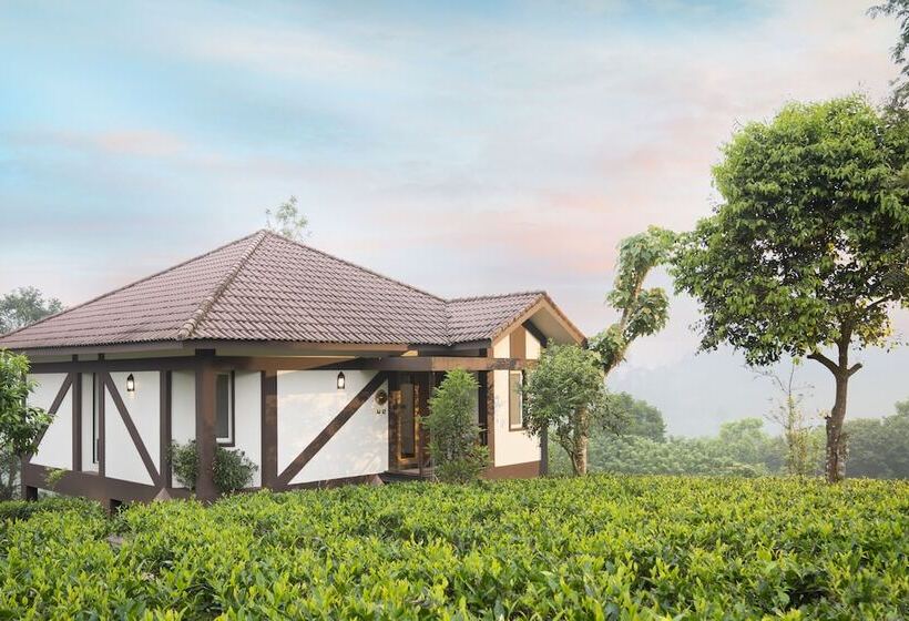 酒店 Jeevess Wellness Resort