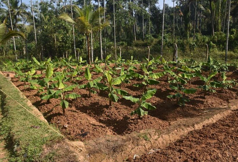 酒店 Jeevess Wellness Resort