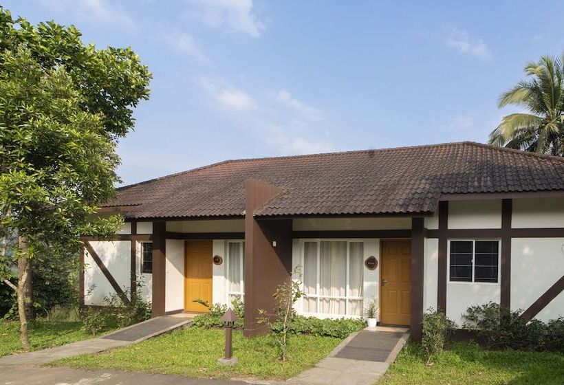 酒店 Jeevess Wellness Resort