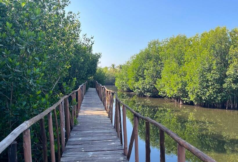 Отель Ko'olebil