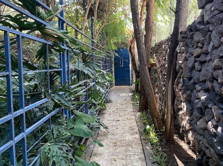 فندق Magnolias Jardin & Boutique Suites