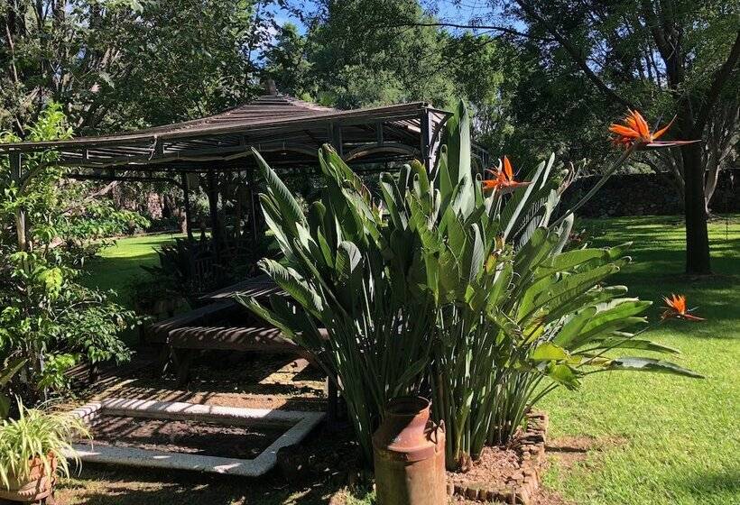 فندق Magnolias Jardin & Boutique Suites