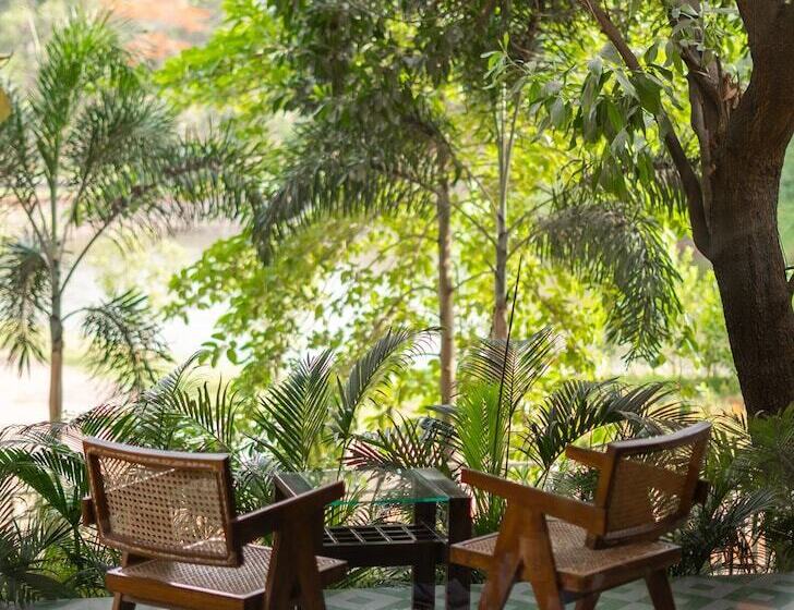 בית מלון כפרי Oleander Farms