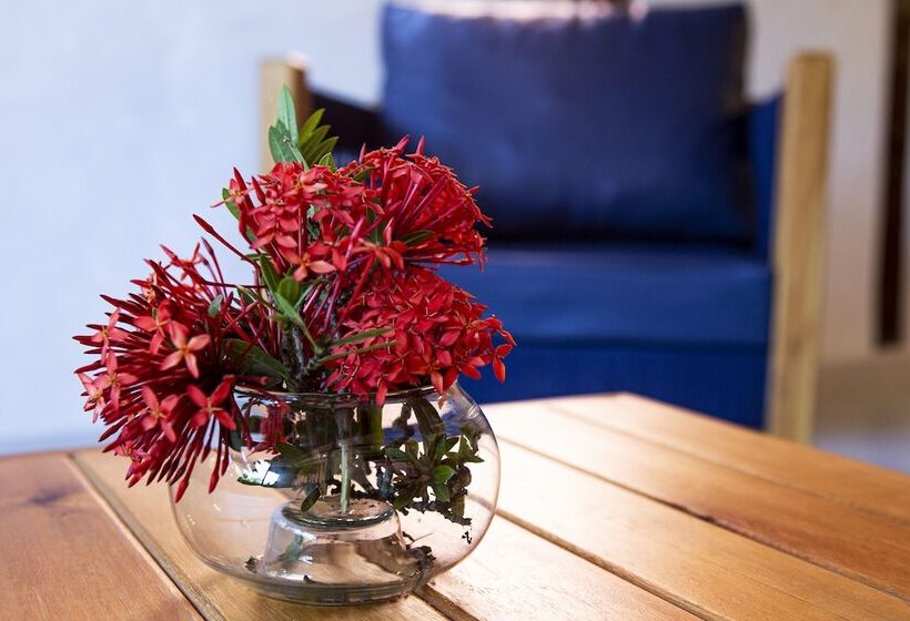 Отель Velinn Pousada Canoa Ilhabela