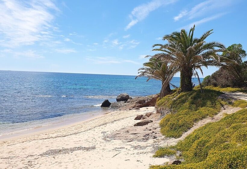 교외 호텔 Agriturismo Corte Degli Ulivi