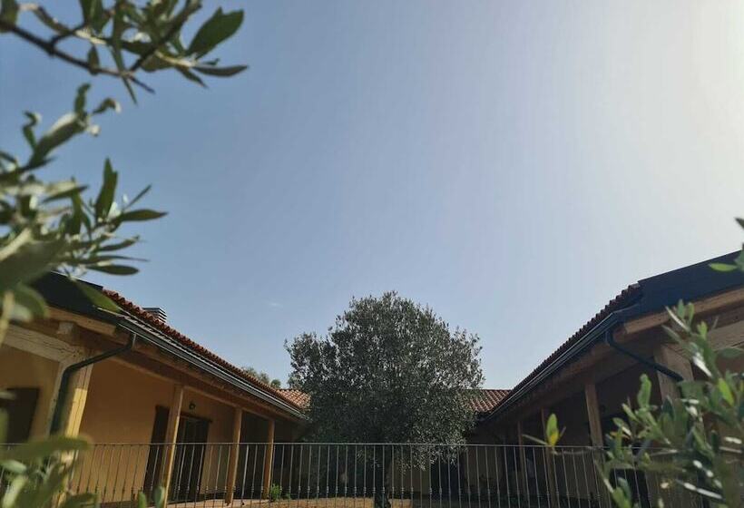 교외 호텔 Agriturismo Corte Degli Ulivi