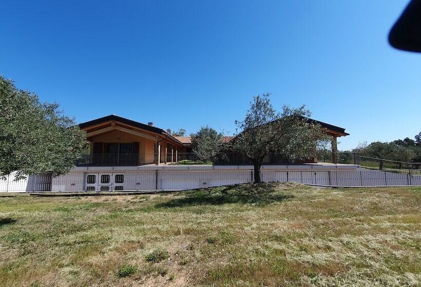 교외 호텔 Agriturismo Corte Degli Ulivi