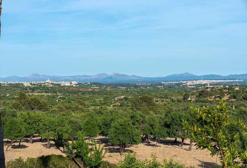 교외 호텔 Agroturisme Subies