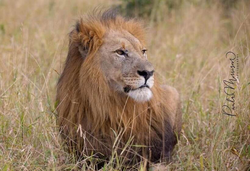 فندق Sungulwane Private Game Lodge