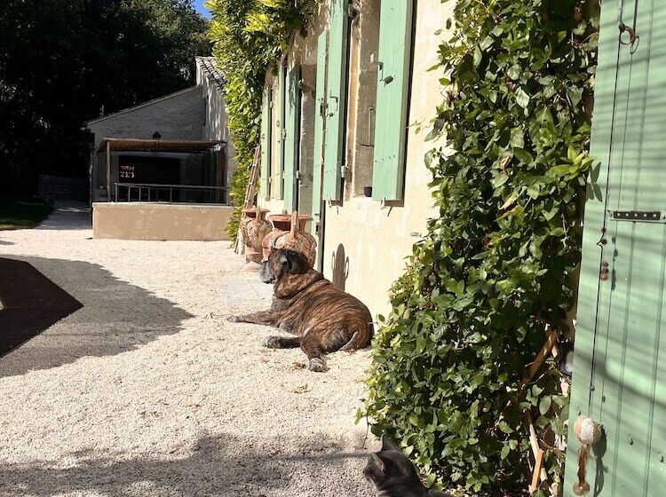 פנסיון Le Moulin Dumas