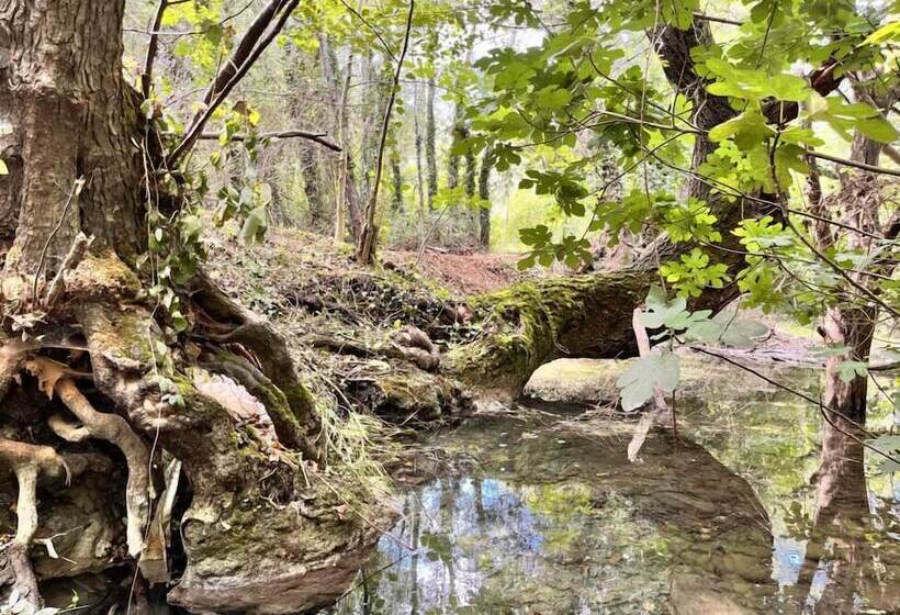 פנסיון Le Moulin Dumas