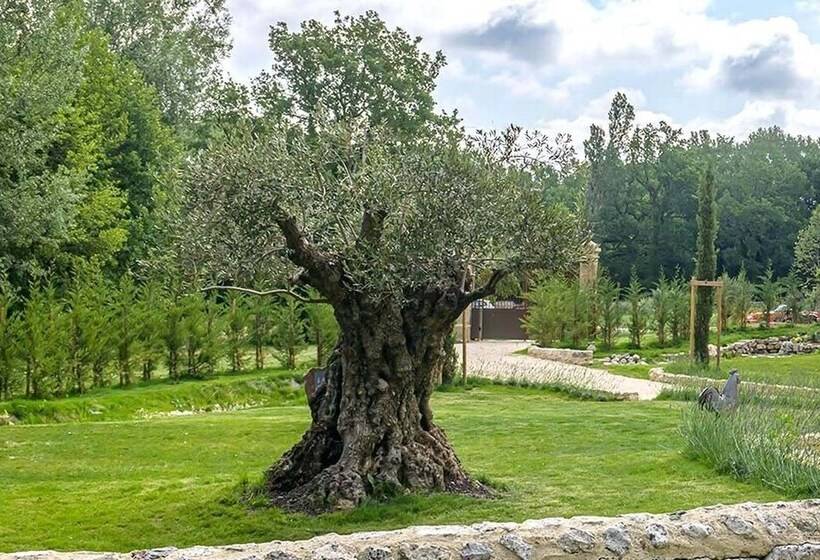 פנסיון Le Moulin Dumas