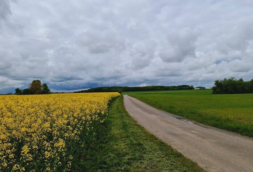 レジデンス Stokkegaarden S Bnb & Apartments