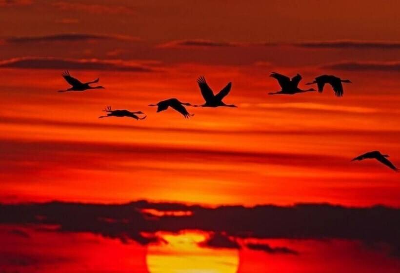 レジデンス Stokkegaarden S Bnb & Apartments