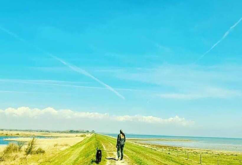 レジデンス Stokkegaarden S Bnb & Apartments