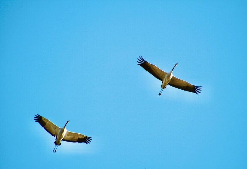 レジデンス Stokkegaarden S Bnb & Apartments