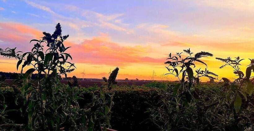 レジデンス Stokkegaarden S Bnb & Apartments