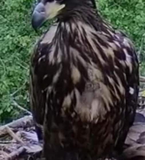 レジデンス Stokkegaarden S Bnb & Apartments