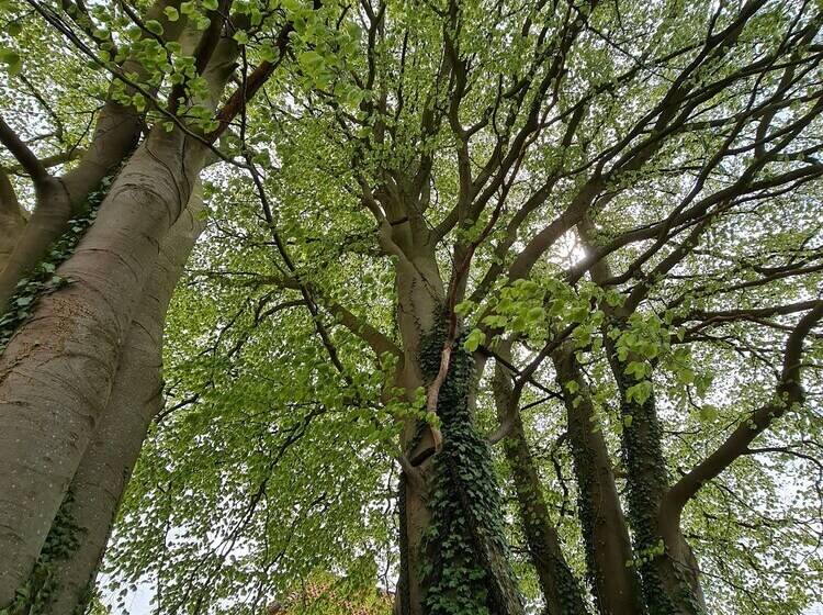 レジデンス Stokkegaarden S Bnb & Apartments