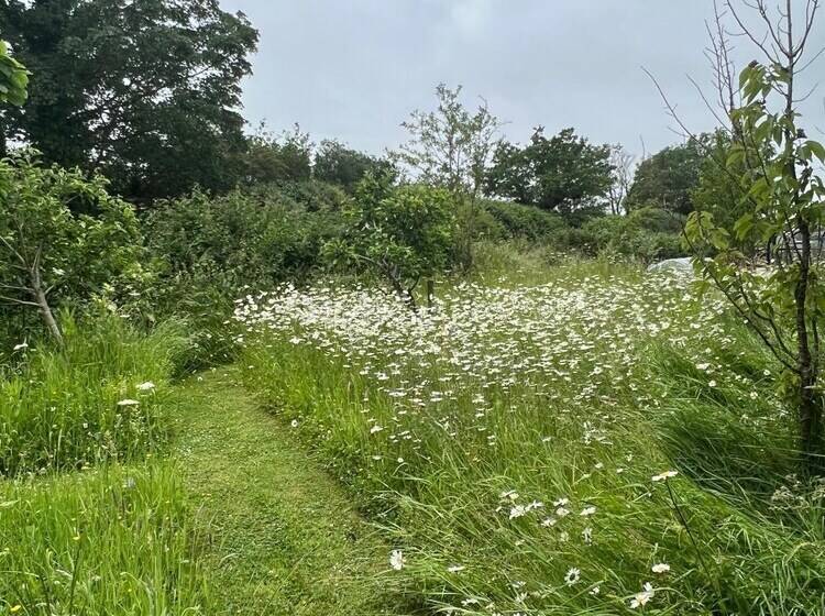 住所  Stunning 1 Bed In Bruton Somerset, Stunning Views