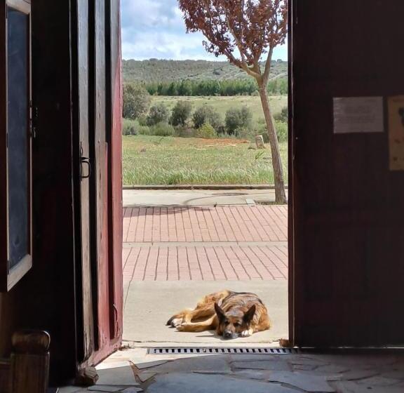 Albergue Rural Las Águedas