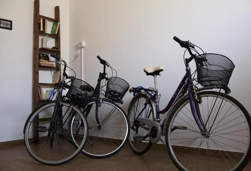 تختخواب و صبحانه Area 12 Bb