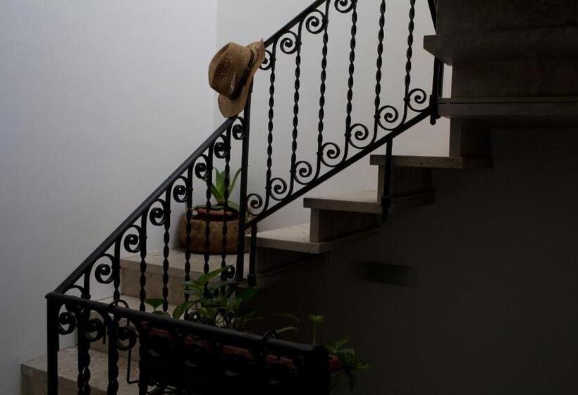 Bed and Breakfast Area 12 Bb