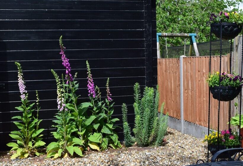 ベッドアンドブレックファースト Sandhurst Farm Forge