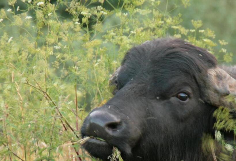 Biohotel Stiftsgut Wilhelmsglücksbrunn