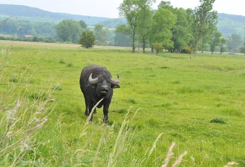 Biohotel Stiftsgut Wilhelmsglücksbrunn