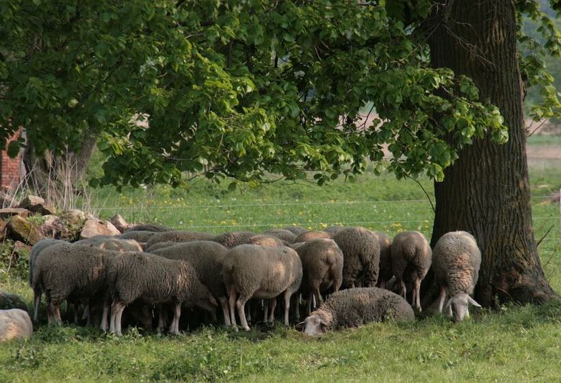 Biohotel Stiftsgut Wilhelmsglücksbrunn
