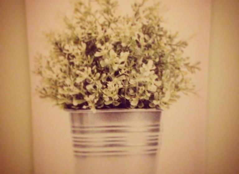 El Albergue De Herrera