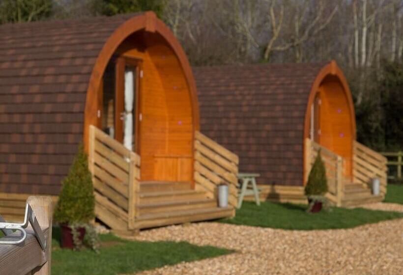 فندق فئة نجمة واحدة The Norman Knight Whichford