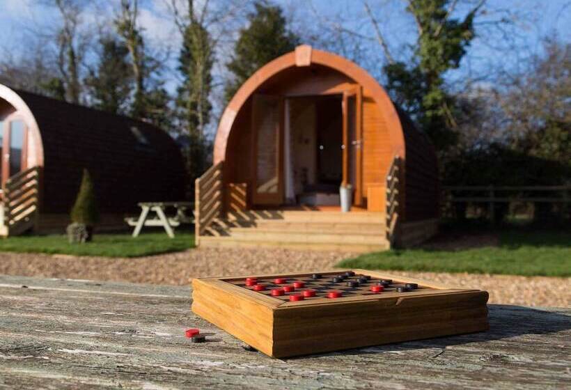 فندق فئة نجمة واحدة The Norman Knight Whichford