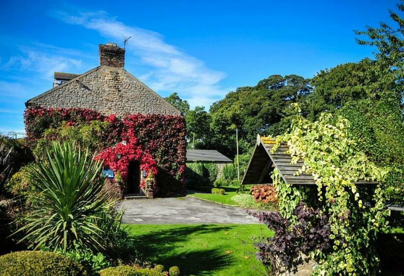 فندق فئة نجمة واحدة The Wyvill Arms