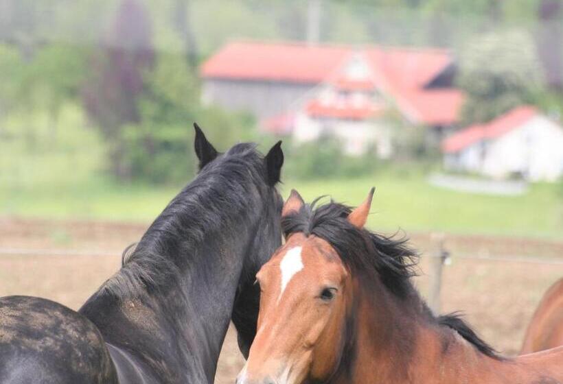 Hotel Adam & Eva Gasthof Paradies Mit