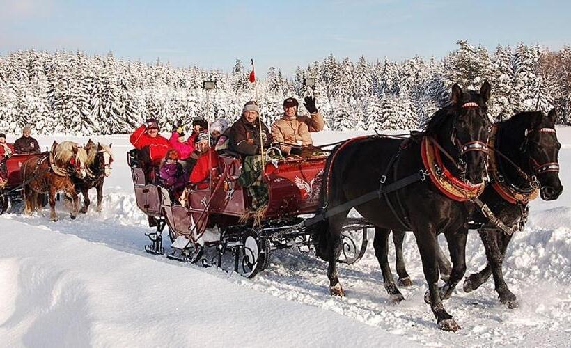 酒店 Berglandstübel