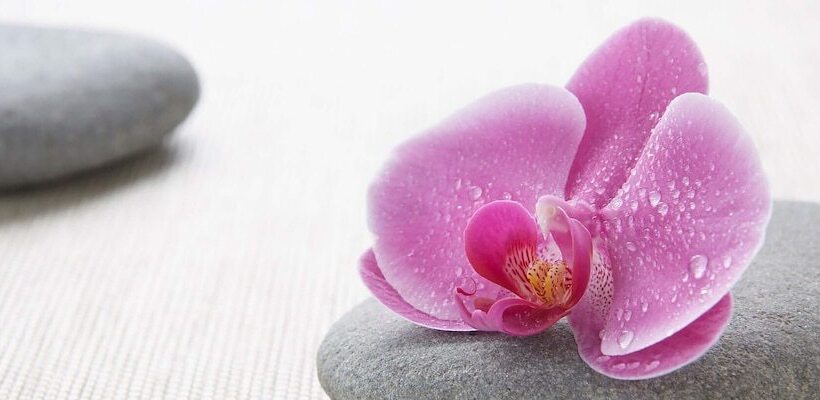 בית מלון כפרי Calgary Airport Marriott Interminal