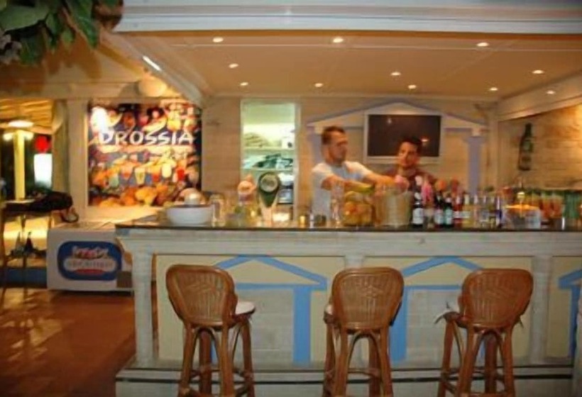 酒店 Drossia