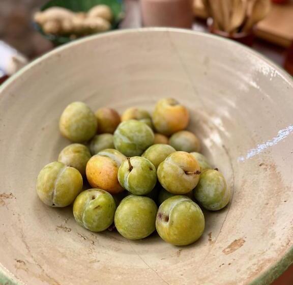 هتل Ecoturisme Mas Ribas